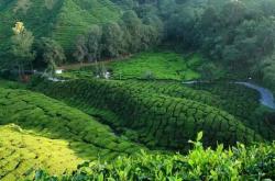 苏黎世联邦理工学院与布隆迪大学共建联合实验室 聚焦干旱农业研究