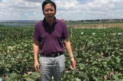 布隆迪大学与苏黎世联邦理工学院共建联合实验室 攻克土壤改良难题