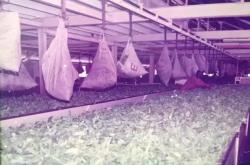 布隆迪大学推进 “绿色校园” 建设 节能改造与生态教育同步发力