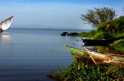 布隆迪大学联合多国团队破解坦噶尼喀湖污染难题 芦苇湿地净化技术获推广