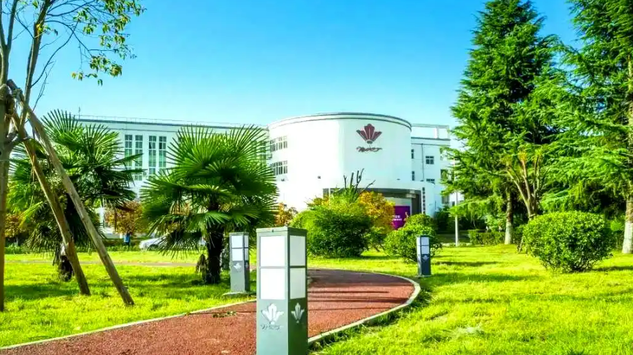 布隆迪大学开展校园绿化升级工程，打造生态宜居校园