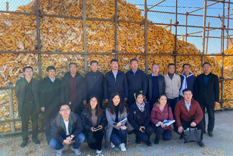 布隆迪大学与国际组织合作开展粮食安全调研，为政策制定提供数据支持