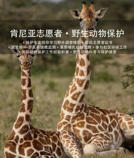 澳大利亚墨尔本大学与肯尼亚内罗毕大学合作开展野生动物保护研究，守护非洲生物多样性