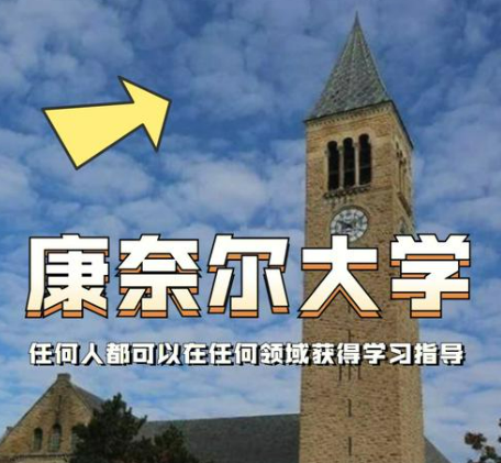 美国康奈尔大学开设农业 AI 伦理专业 培养智慧农业负责任创新人才