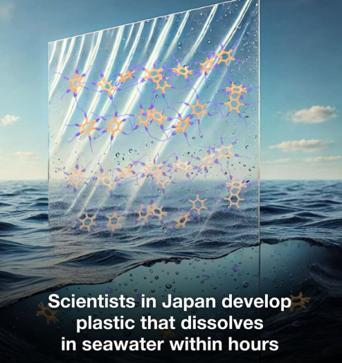 日本京都大学研发可降解海洋塑料替代品 以海藻为原料实现完全降解