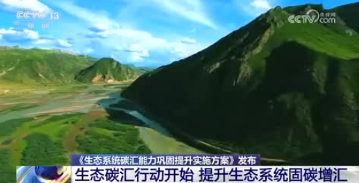 英国牛津大学与巴西圣保罗大学共建亚马逊雨林碳汇实验室 精准核算森林固碳量
