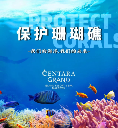 中国中山大学与马尔代夫国立大学共建海洋生态实验室 守护珊瑚礁生态系统